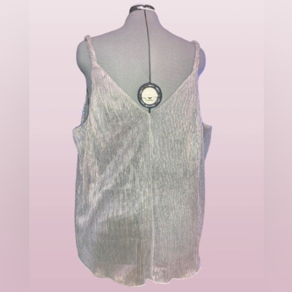 Rye Grass “silver shimmer” camisole, sz Lg(fits like an xl). - Picture 3 of 3